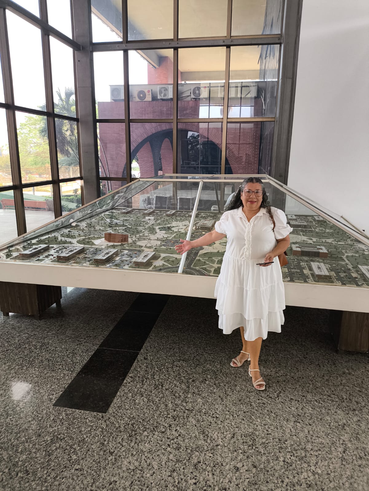 Laurinda Pereira de Araújo